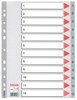 Obrázek Rozdružovač A4 plastový šedý Esselte - 1 - 12