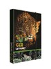 Zobrazit detail produktu - Box A4 na sešity Jumbo - Tiger Obrázek Box A4 na sešity Jumbo - Tiger